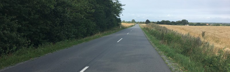 Vejnettet
